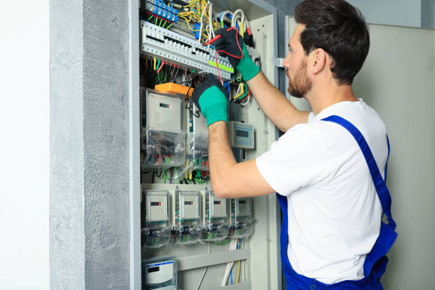 Best Electric Panel Repair  in Woodstock, AL